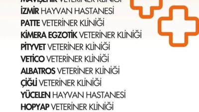 Sokak hayvanları bir süredir Türkiye’nin en büyük tartışma konusu konumunda.