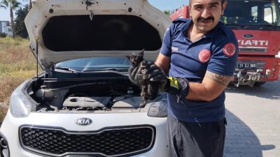 &nbsp; Hatay’ın Arsuz ilçesine bağlı Karaağaç Mahallesi’nde park halindeki bir