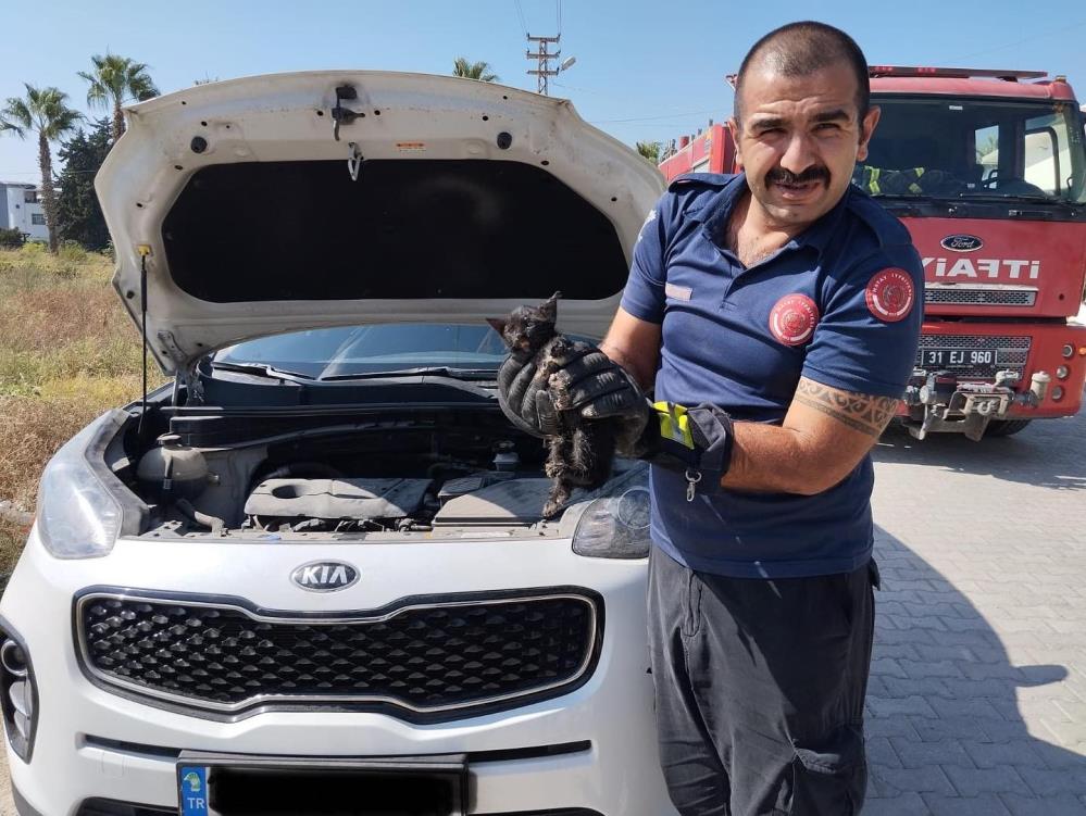 Araçta Mahsur Kalan Yavru Kedi Kurtarıldı