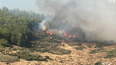 Hatay’ın Antakya ilçesinde çıkan orman yangınına havadan ve karadan müdahale