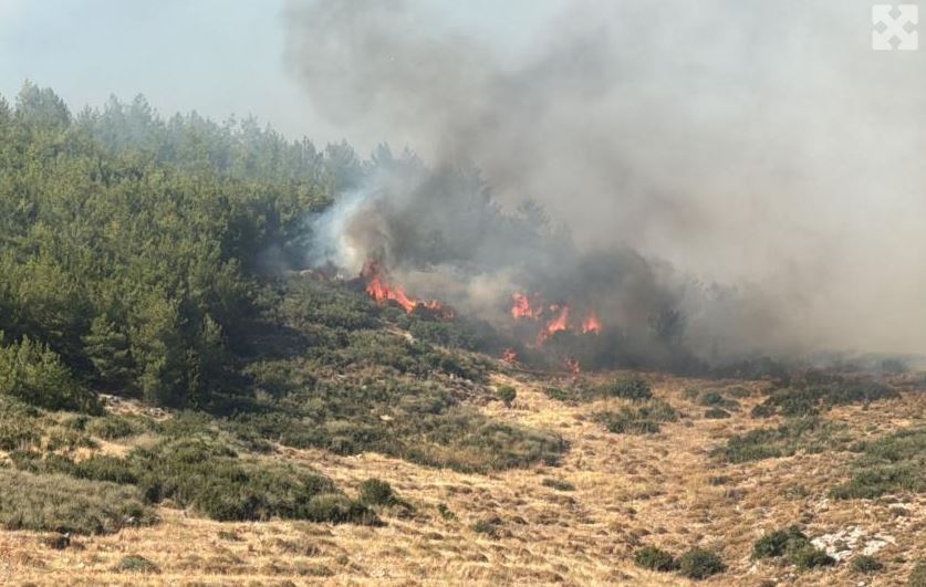 Hatay’da orman yangını çıktı