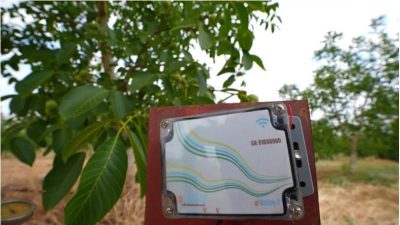 Elektrik elektronik mühendisi Fatma Aktaş, geliştirdikleri yapay zeka destekli sulama