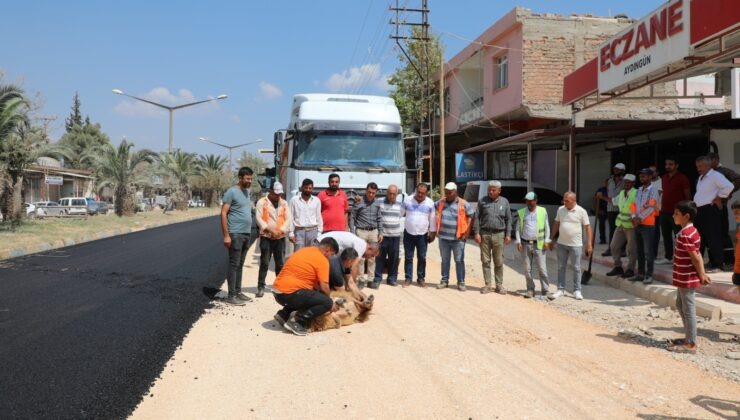 Hatay Büyükşehir Belediyesi (HBB),