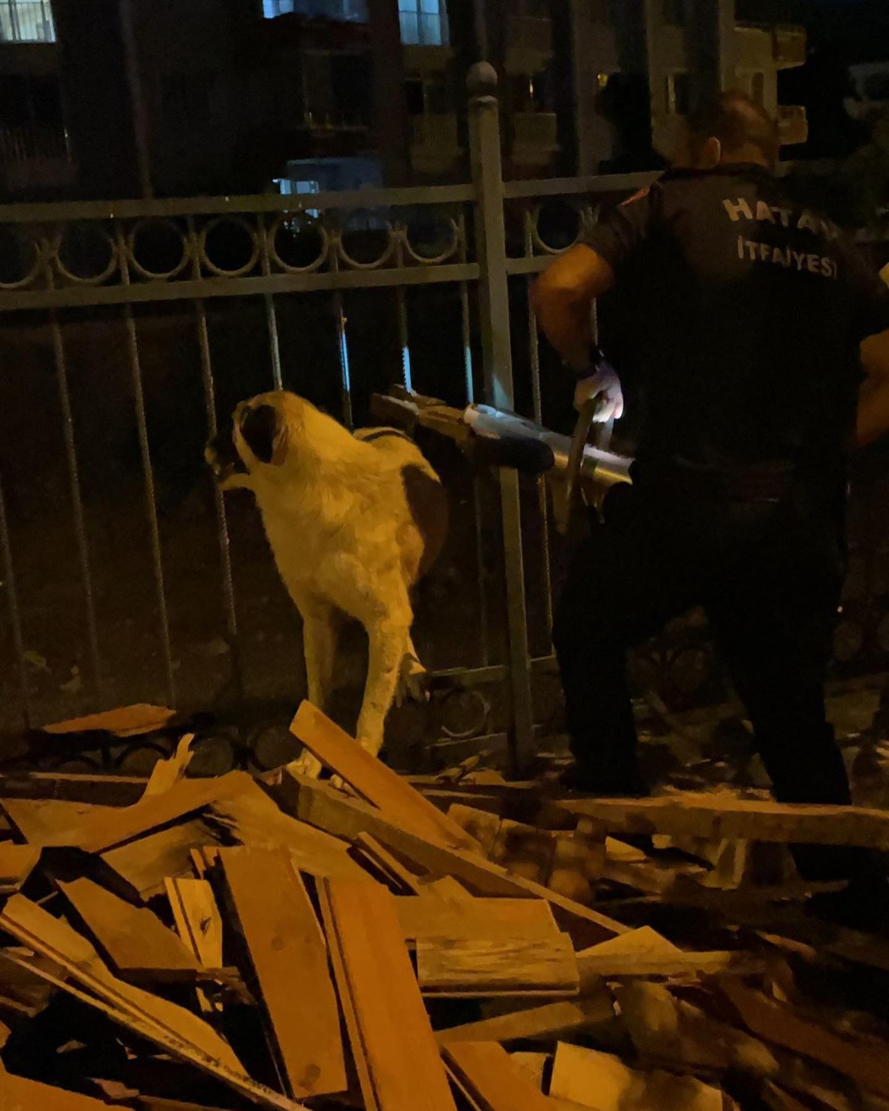 Köpek Korkuluklarda sıkıştı