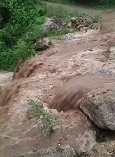 Hatay’ın Dörtyol ilçesinde bulunan