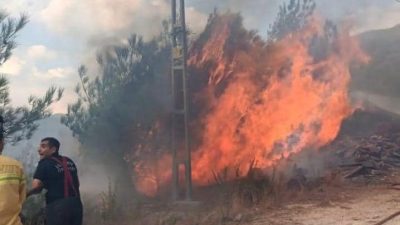 Hatay’ın Antakya ilçesine bağlı Karlısu Mahallesi’nde ormanlık alanda çıkan yangın,