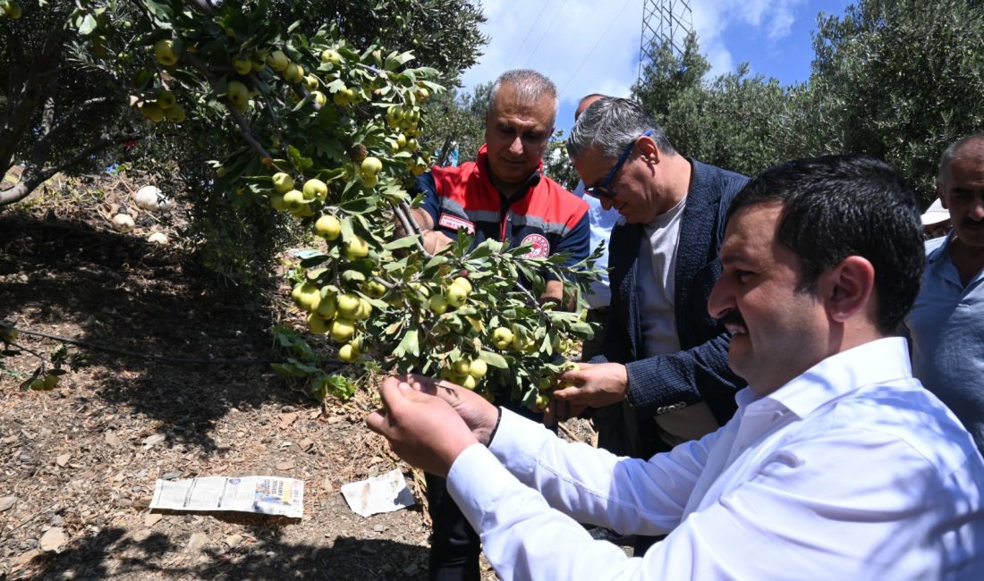 Hatay’ın Belen ilçesinde sezonun