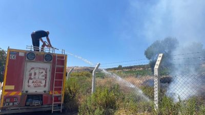 Hatay’ın Arsuz ilçesine bağlı Boynuyoğun Mahallesi’nde bulunan zeytinlik alanda bugün