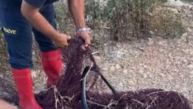 Hatay’ın Defne ilçesine bağlı Subaşı Mahallesi’nde ilginç bir kurtarma operasyonu