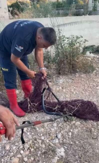 Hatay’ın Defne ilçesine bağlı