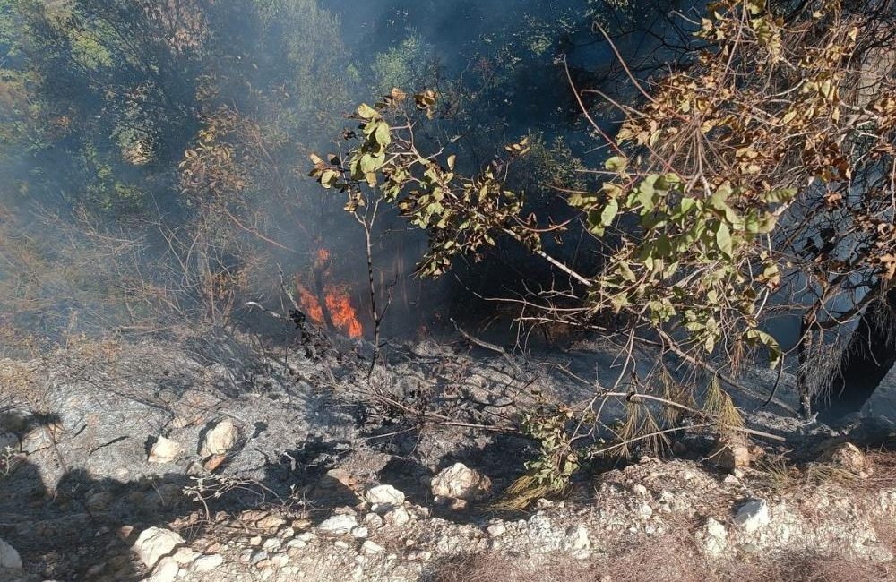 Hatay’ın Yayladağı İlçesi Turfanda