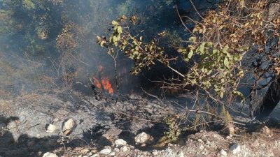 Hatay’ın Yayladağı İlçesi Turfanda Mahallesi’nde bulunan ormanlık alanda örtü yangını