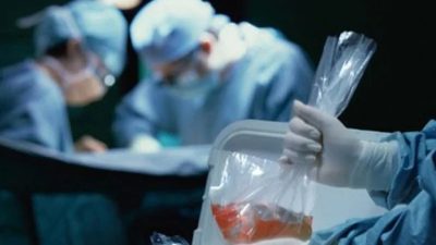 Dünya genelinde organ nakli bekleyen milyonlarca insanın olduğu göz önüne