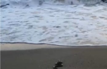 Antakyalı turizmci Ayhan Yoğurtçu, geçtiğimiz hafta sonu yaşanan yağışların ardından