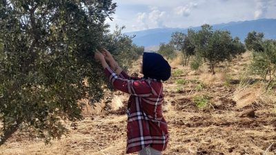 31 Mart 2023 milletvekili genel seçimlerinde CHP’den Hatay milletvekili adayı