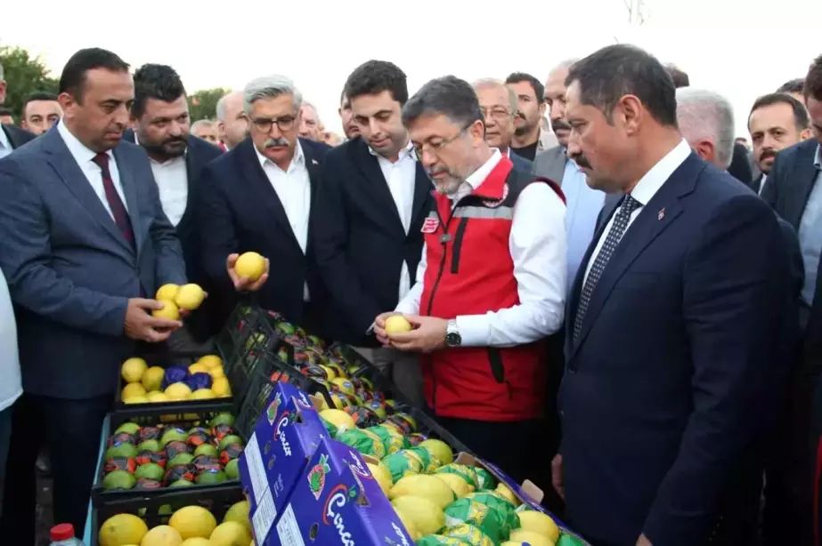 Bakan Yumaklı, Hatay’da narenciye hasadını başlattı