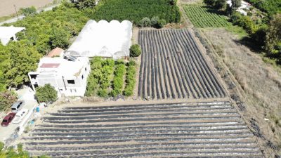 Depremin yaralarının sarıldığı Hatay’da üreterek güçlenen çiftçi Muharrem Peköz, 34