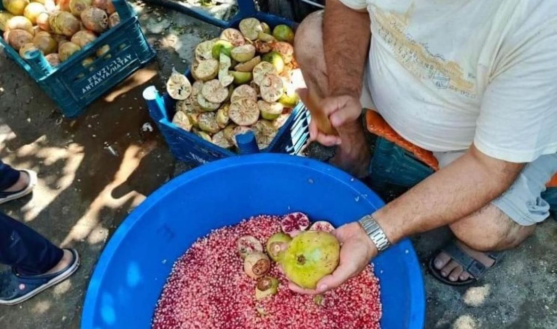 Hatay’ın Antakya ilçesine bağlı