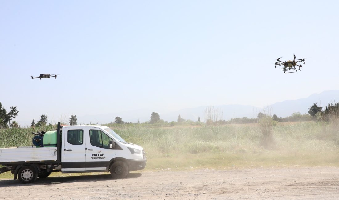 Hatay Büyükşehir Belediyesi (HBB), haşere ve vektörle mücadele kapsamında Ağustos