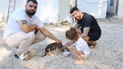 &nbsp; Hatay’ın Antakya ilçesinde çöplük alanda ağzı bağlı çuval içerisinde