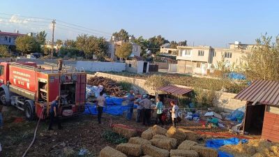 Hatay’ın Kumlu İlçesi Zeytindalı Mahallesi’nde bir evin yanında bulunan samanlıkta