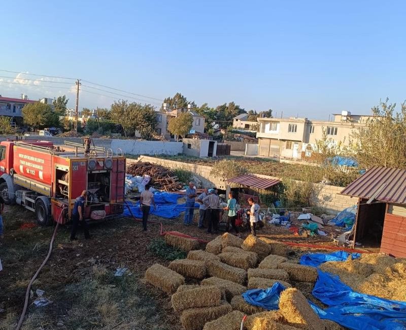 Hatay’ın Kumlu İlçesi Zeytindalı