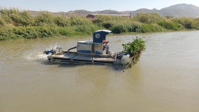 &nbsp; Hatay Büyükşehir Belediyesi (HBB), ekolojik dengeyi koruma amacıyla istilacı