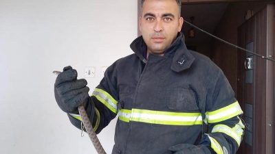 &nbsp; Hatay’ın Erzin İlçesi Yoncadüzü Mahallesi’nde bir vatandaş evinde yılan