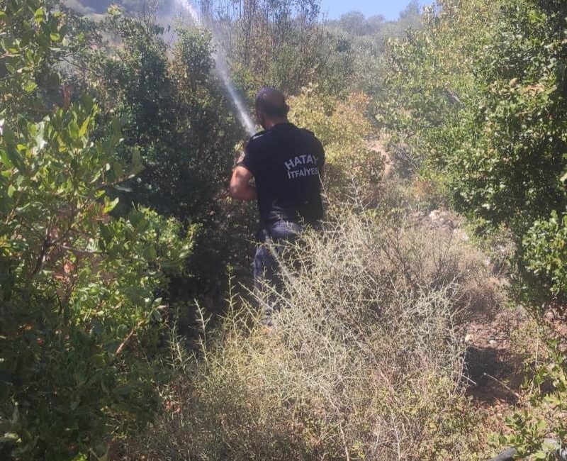 Hatay’ın Altıözü ilçesine bağlı