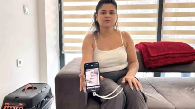 Hatay'da 25 yaşındaki Kader Baş, kaybolan Scottish cinsi kedisi 'Pamuk'u