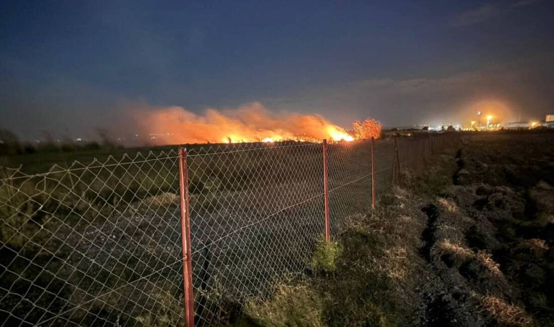 Erzin’de Aşağıburnaz Mahallesi’nde meydana