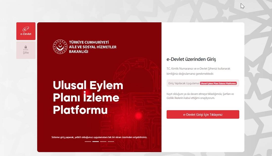Aile ve Sosyal Hizmetler Bakanlığı, ulusal düzeydeki strateji belgeleri ve