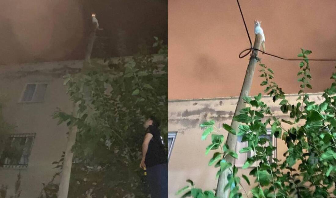 İskenderun’da telefon direğine tırmanan