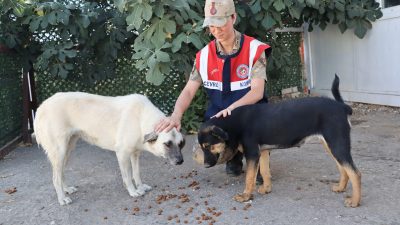 Hatay İl Jandarma Komutanlığı Çevre, Doğa ve Hayvanları Koruma Timi,