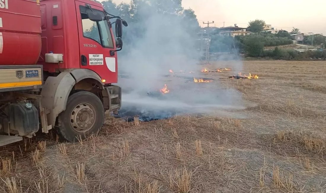 Hatay'ın Kumlu İlçesi'nde buğday