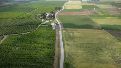 Devlet Su İşleri (DSİ) Genel Müdürü Mehmet Akif Balta, Hatay