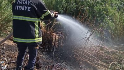 Hatay’ın Defne ilçesinde bulunan Hüseyinli Mahallesi’ndeki kamışlık alanda yangın çıktı.