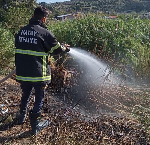 Hatay’ın Defne ilçesinde bulunan