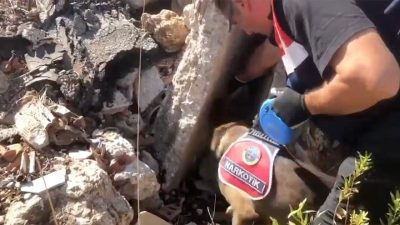 İçişleri Bakanı Ali Yerlikaya, "Narkoçelik-42" operasyonlarında 1 ton 971 kilogram