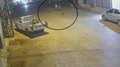 Hatay’ın Reyhanlı ilçesine bağlı Esentepe Mahallesi’nde, 6 yaşındaki yabancı uyruklu