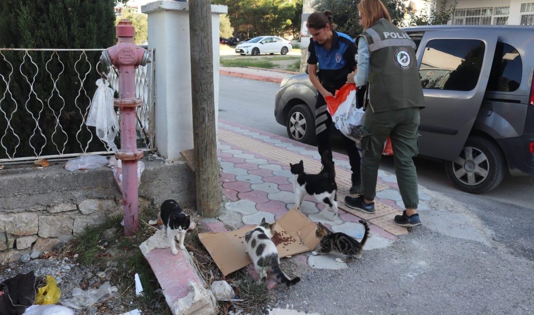 Hatay Emniyet Müdürlüğü, 4