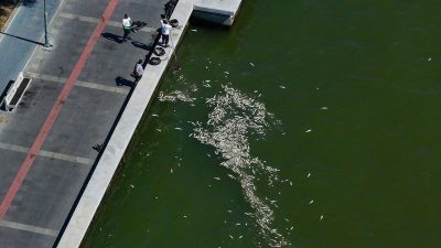 Çevre, Şehircilik ve İklim Değişikliği Bakanı Murat Kurum’un talimatıyla oluşturulan