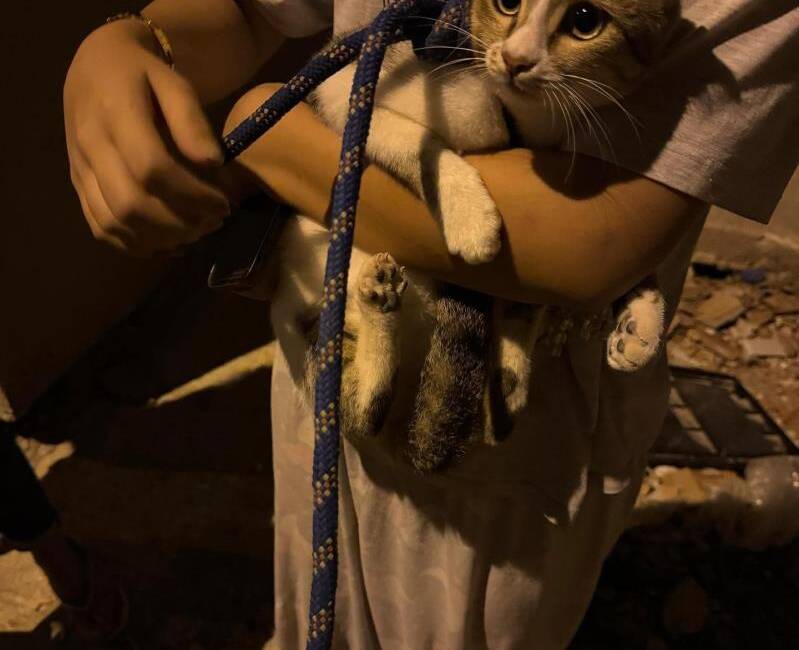 Hatay’ın Antakya ilçesi Akasya