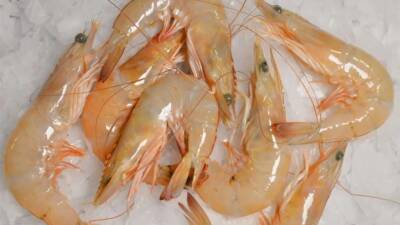 Hatay’ın Arsuz ilçesinde yaşayan Süleyman Taze ve ailesi, Akdeniz’in bereketli