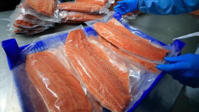 Türkiye’nin somon ihracatı, 2023 yılının ocak-eylül döneminde yüzde 6 artışla