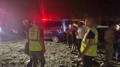 Hatay’ın Dörtyol ilçesinde bir mandalina bahçesinde meydana gelen olay, çevredeki