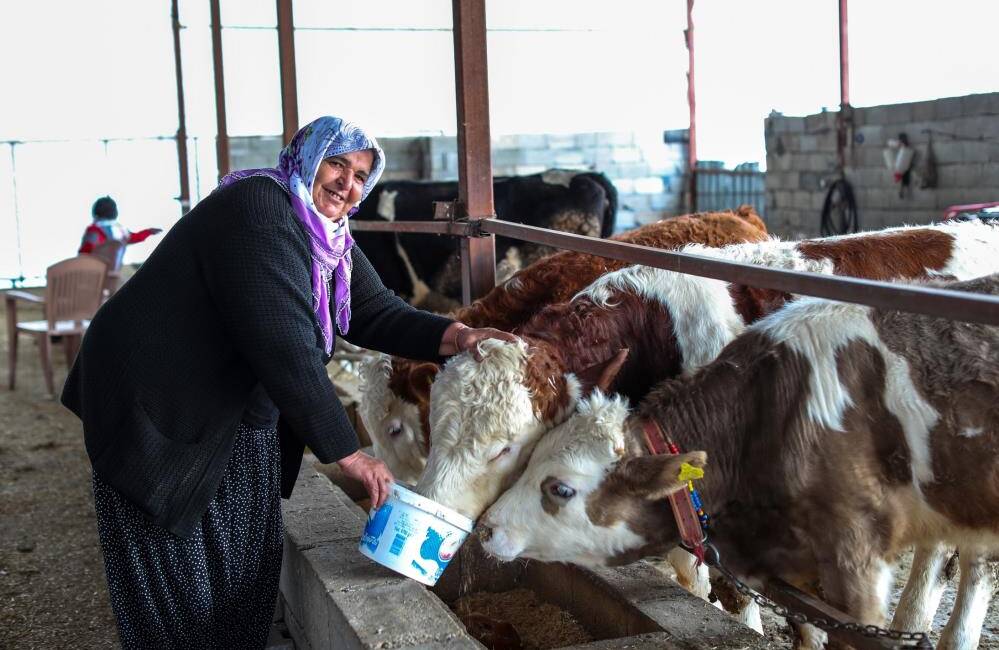 Türk Kızılay, Kahramanmaraş depremlerinin