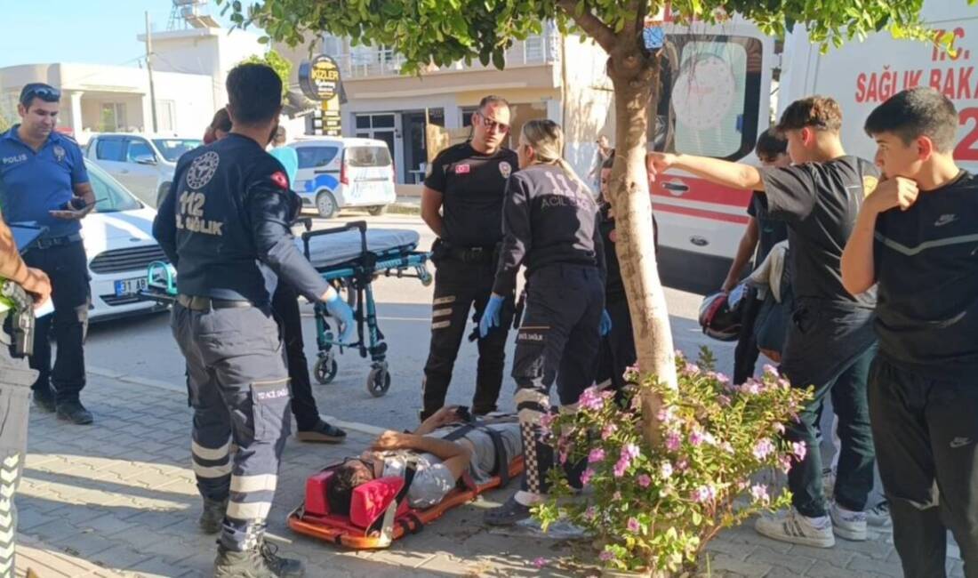 Hatay’ın Samandağ ilçesinde, köpeğe