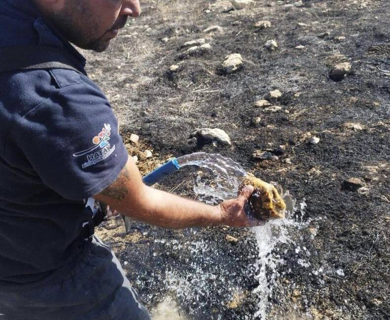 İtfaiyeden kaplumbağa ‘can suyu’