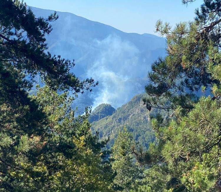 Hatay’ın Dörtyol ilçesine bağlı